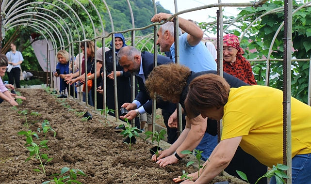 ATA TOHUMLARI TOPRAKLA BULUŞTU