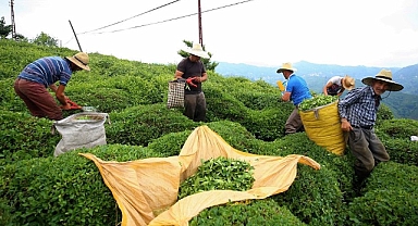 ÇAY ÜRETİCİLERİ BUGÜNÜ UNUTMAYACAK!