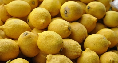 ÇAYI LİMONSUZ İÇEMEYEN BAYBURT'A LİMON ZAMMI ŞOKU!