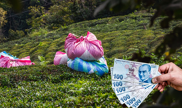 ÇAYKUR DUYURDU: ÖDEMELER YARIN HESAPLARA GEÇECEK