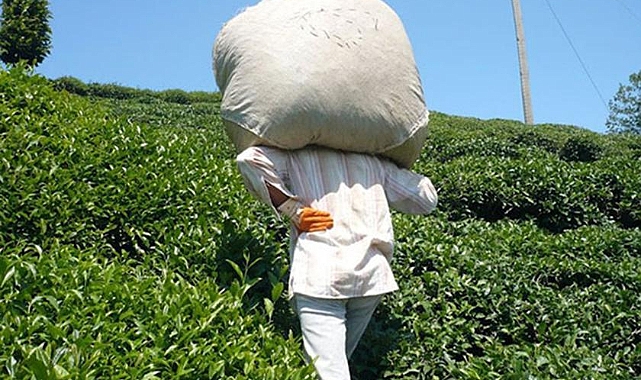 ÇOLAK'TAN AK PARTİLİ SİYASİLERE SERT TEPKİ: HANGİ YÜZLE HALKLA BAYRAMLAŞTINIZ!