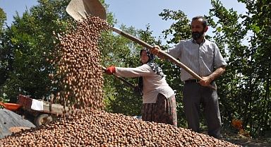 SPEKÜLATİF FİYATLARA İTİBAR ETMEYİN