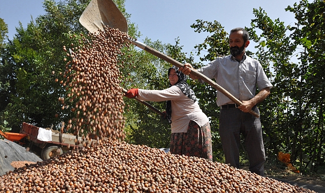 SPEKÜLATİF FİYATLARA İTİBAR ETMEYİN