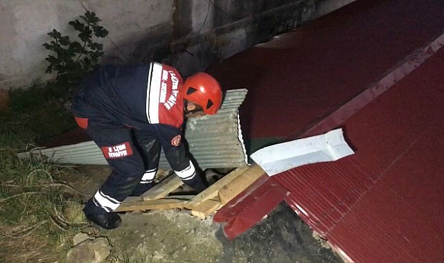 YAVRU KEDİNİN İMDADINA İTFAİYE EKİPLERİ YETİŞTİ