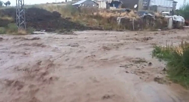 ARAKLI'DA BALIK ÇİFLİĞİNİ SU BASTI