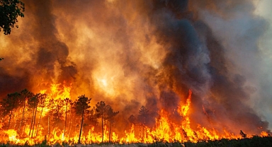 AYVALIK YANGINI KONTROL ALTINDA 