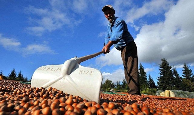 BARONLARA MI YOKSA ÜRETİCİYE Mİ HİZMET EDİYORSUNUZ?