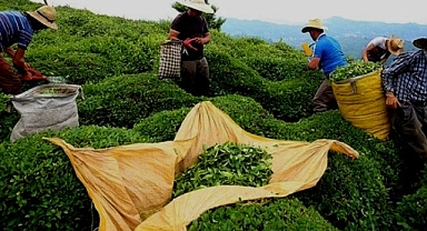 BUNUN ADI REZİLLİK... AHLAKİ DEĞİL!