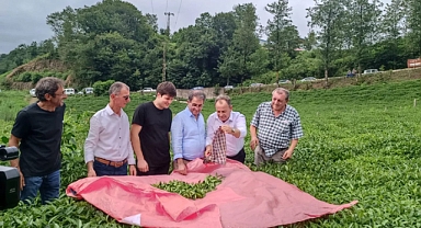 ÇAY ALIMLARINI DURDURAN ÇAYKUR'A TEPKİLER DİNMİYOR!