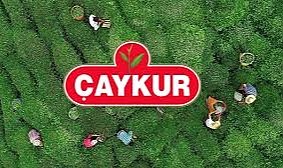 ÇAYKUR'DA GÖREVDE YÜKSELME DEĞİŞİKLİĞİ ÇAY İŞLETMELERİ GENEL MÜDÜRLÜĞÜ PERSONELİ GÖREVDE YÜKSELME VE UNVAN DEĞİŞİKLİĞİ YÖNETMELİĞİ