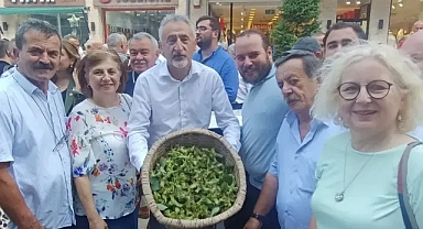 CHP'Lİ ADIGÜZEL: FINDIKTA SOYGUN DÜZENİ VAR