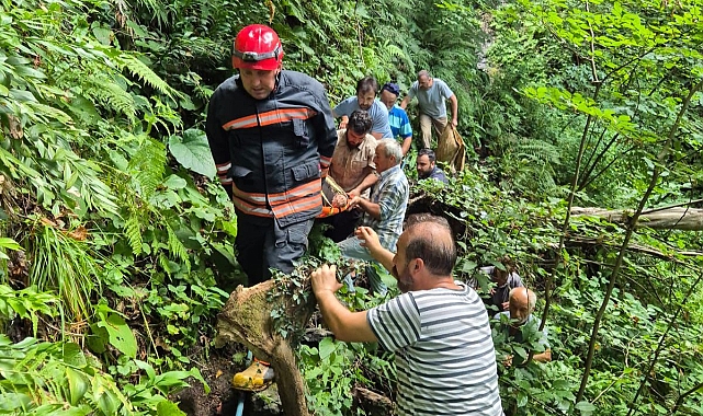 İTFAİYE EKİPLERİ 5 CAN KURTARDI