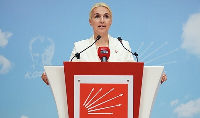 MERVE KIR KİMDİR? CHP KADIN KOLLARI GENEL BAŞKAN ADAYI