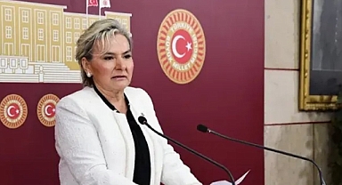 NİMET ÖZDEMİR İSTİFA ETTİ, İYİ PARTİ'DE İSTİFALAR DEVAM EDİYOR