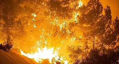 ANKARA GÖLBAŞI’NDA SAZLIK ALANDA YANGIN