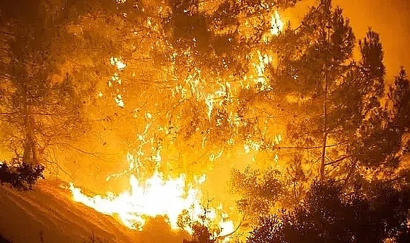 ANKARA GÖLBAŞI’NDA SAZLIK ALANDA YANGIN