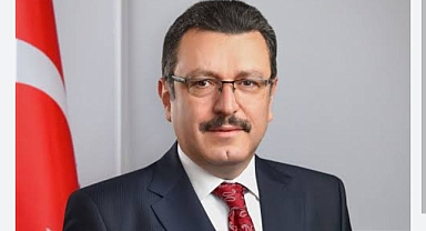 BORDO-MAVİ ÇINARDI