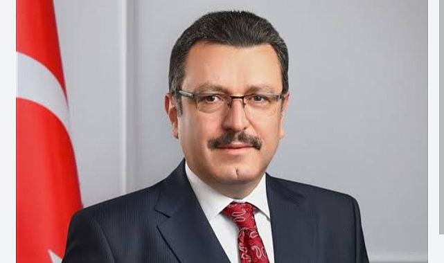 BORDO-MAVİ ÇINARDI