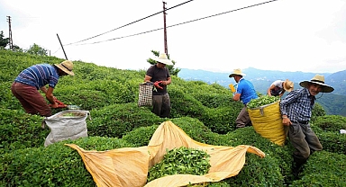 ÇAYKUR'DAN ÜRETİCİLERE MÜJDE
