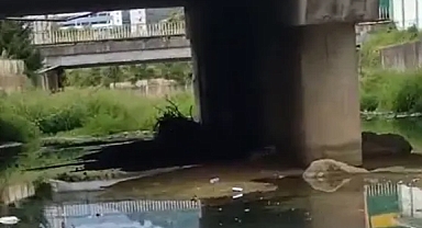 DEREYİ GÖRENLER ŞAŞTI KALDI!