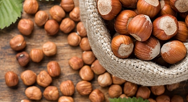 FINDIKTA ZARAR KARŞILANSIN