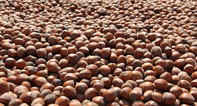 PİYASANIN GERÇEKLERİYLE ÖRTÜŞEN BİR FİYAT!