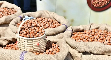 TMO FINDIK FİYATINI AÇIKLADI... BEKENTİLERİN ALTINDA!