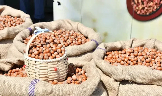TMO FINDIK FİYATINI AÇIKLADI... BEKENTİLERİN ALTINDA!