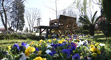 TRABZON ÇİÇEK AÇTI 