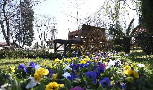 TRABZON ÇİÇEK AÇTI