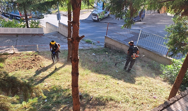 AKÇAABAT BELEDİYESİ'NDEN OKULLARA DESTEK
