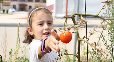 BAYBURT'TA ÖZEL ÖĞRENCİLERDEN SEBZE HASADI