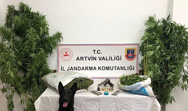 BORÇKA'DA ZEHİR OPERASYONU... 2 TORBACI TUTUKLANDI