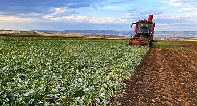 ÇİFTÇİYE 'BEKLENEN ENFLASYON' DARBESİ