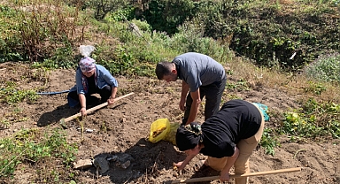 GİRESUN'DA YAYLALARDA PATATES HASADI BAŞLADI