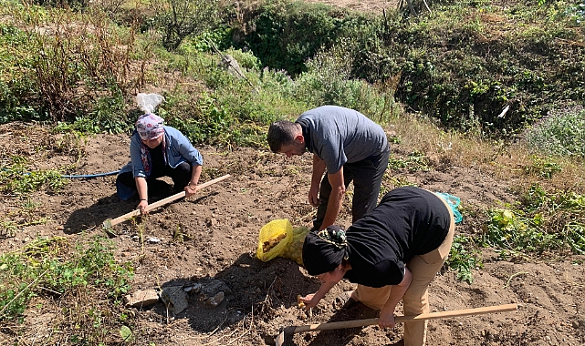 GİRESUN'DA YAYLALARDA PATATES HASADI BAŞLADI