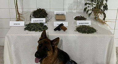 GÜMÜŞHANE'DE ZEHİR OPERASYONU