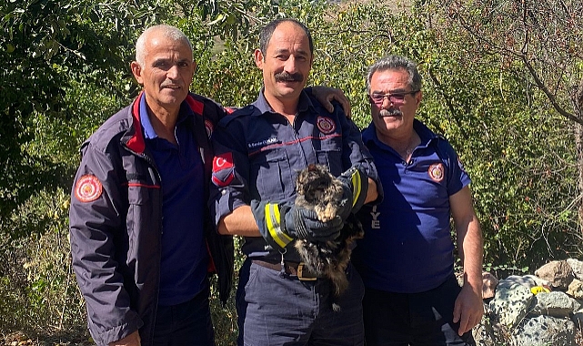 İTFAİYE EKİPLERİ TALİHSİZ KEDİ İÇİN SEFERBER OLDU