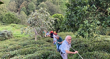RİZE'DE TELEFERİK FACİASI!
