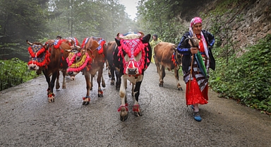 YAYLACILAR DÖNÜŞ YOLUNDA