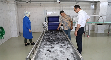 AKÇAHASAT TESİSİNDE ÜRÜN ALIMLARI DEVAM EDİYOR 