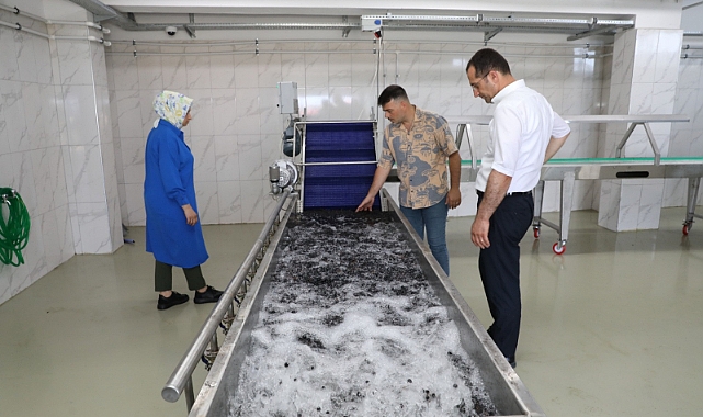 AKÇAHASAT TESİSİNDE ÜRÜN ALIMLARI DEVAM EDİYOR