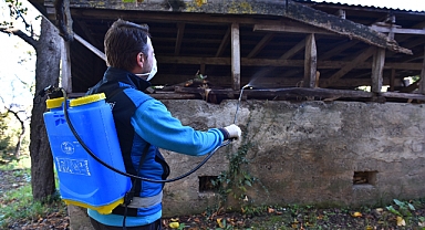 BÜYÜKŞEHİR KARARLI KOKARCAYA GEÇİT YOK