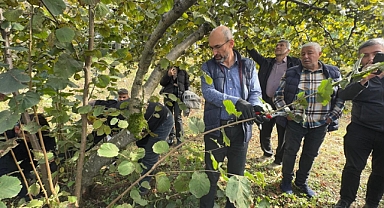 FINDIKTA KALİTE VE VERİM ARTACAK