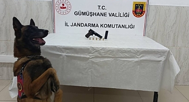 GÜMÜŞHANE'DE SİLAH KAÇAKÇILIĞINA GEÇİT YOK 