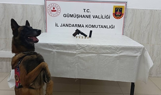 GÜMÜŞHANE'DE SİLAH KAÇAKÇILIĞINA GEÇİT YOK