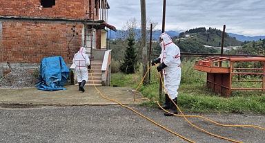 ORTAHİSAR KOKARCA MÜCADELESİNE BAŞLADI