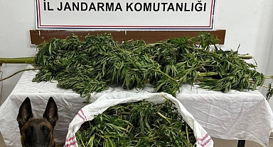 ARTVİN'DE TORBACIYA GEÇİT YOK
