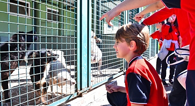 TRABZON'DA SAHİPSİZ CAN KALMAYACAK 