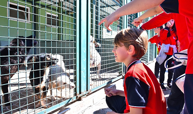 TRABZON'DA SAHİPSİZ CAN KALMAYACAK